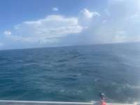 Great day of scuba diving in Key Largo with Rainbow Reef on benwood wreck tropical legend 2021 05 09 r11094 1