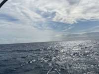 Great day of scuba diving in Key Largo with Rainbow Reef on benwood wreck tropical serenity 2021 05 16 r11129 1
