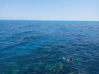 Great day of scuba diving in Key Largo with Rainbow Reef on christ statue tropical destiny 2021 05 10 r11103 1