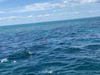 Great day of scuba diving in Key Largo with Rainbow Reef on christ statue tropical serenity 2021 05 16 r11134 1