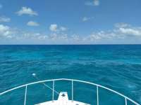 Great day of scuba diving in Key Largo with Rainbow Reef on conch ledge tropical destiny 2021 05 24 r11145 1