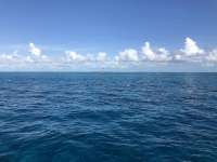 Great day of scuba diving in Key Largo with Rainbow Reef on conch wall north tropical serenity 2021 05 01 r11045 1