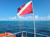 Great day of scuba diving in Key Largo with Rainbow Reef on eagle ray alley tropical legend 2021 05 31 r11190 1