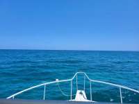 Great day of scuba diving in Key Largo with Rainbow Reef on french reef santana 2021 05 10 r11101 1