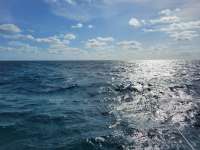 Great day of scuba diving in Key Largo with Rainbow Reef on french reef santana 2021 05 17 r11135 1