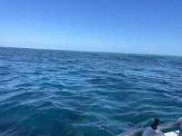 Great day of scuba diving in Key Largo with Rainbow Reef on molasses reef santana 2021 05 05 r11073 1