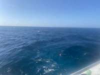 Great day of scuba diving in Key Largo with Rainbow Reef on molasses reef tropical serenity 2021 05 12 r11112 1