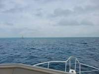 Great day of scuba diving in Key Largo with Rainbow Reef on north star santana 2021 05 14 r11121 1