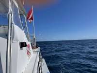 Great day of scuba diving in Key Largo with Rainbow Reef on spiegel grove tropical destiny 2021 05 02 r11057 2