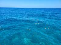 Great day of scuba diving in Key Largo with Rainbow Reef on winch hole tropical destiny 2021 05 06 r11083 1