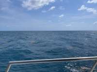 Great day of scuba diving in Key Largo with Rainbow Reef on woodys tropical odyssey 2021 05 03 r11063 1