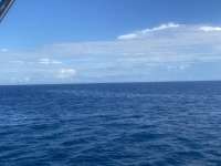 Great day of scuba diving in Key Largo with Rainbow Reef on benwood wreck tropical adventure 2021 11 22 r11891 1