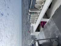 Great day of scuba diving in Key Largo with Rainbow Reef on benwood wreck tropical odyssey 2021 11 30 r11929 1