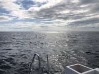 Great day of scuba diving in Key Largo with Rainbow Reef on city of washington tropical odyssey 2021 11 02 r11819 1