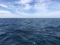 Great day of scuba diving in Key Largo with Rainbow Reef on french reef tropical adventure 2021 11 14 r11867 1