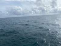 Great day of scuba diving in Key Largo with Rainbow Reef on french reef tropical odyssey 2021 11 20 r11883 1