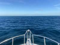 Great day of scuba diving in Key Largo with Rainbow Reef on french reef tropical serenity 2021 11 01 r11807 1