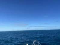 Great day of scuba diving in Key Largo with Rainbow Reef on molasses reef tropical adventure 2021 11 22 r11888 1