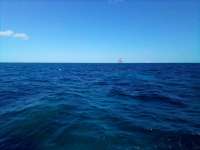 Great day of scuba diving in Key Largo with Rainbow Reef on molasses reef tropical legend 2021 11 10 r11846 1