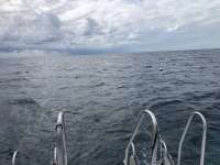Great day of scuba diving in Key Largo with Rainbow Reef on molasses reef tropical serenity 2021 11 03 r11825 1