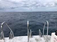 Great day of scuba diving in Key Largo with Rainbow Reef on permit ledges tropical serenity 2021 11 03 r11822 1