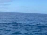 Great day of scuba diving in Key Largo with Rainbow Reef on snapper ledge tropical explorer 2021 11 26 r11910 1