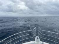 Great day of scuba diving in Key Largo with Rainbow Reef on spiegel grove tropical odyssey 2021 11 11 r11852 1