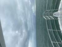 Great day of scuba diving in Key Largo with Rainbow Reef on spiegel grove tropical odyssey 2021 11 20 r11881 1