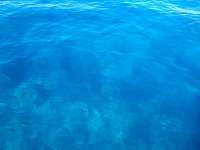 Great day of scuba diving in Key Largo with Rainbow Reef on winch hole tropical legend 2021 11 27 r11922 2