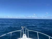 Great day of scuba diving in Key Largo with Rainbow Reef on woodys tropical serenity 2021 11 10 r11851 1