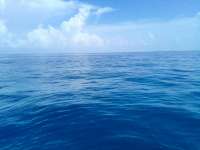 Great day of scuba diving in Key Largo with Rainbow Reef on benwood wreck tropical legend 2021 10 09 r11699 2