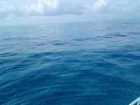 Great day of scuba diving in Key Largo with Rainbow Reef on benwood wreck tropical legend 2021 10 09 r11699 3