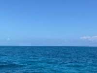 Great day of scuba diving in Key Largo with Rainbow Reef on christ statue tropical serenity 2021 10 14 r11730 1