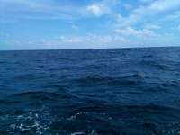 Great day of scuba diving in Key Largo with Rainbow Reef on christ statue tropical serenity 2021 10 28 r11796 1