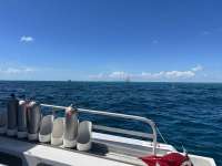 Great day of scuba diving in Key Largo with Rainbow Reef on eagle ray alley tropical serenity 2021 10 04 r11681 2