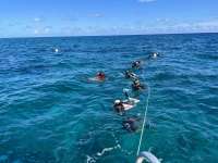 Great day of scuba diving in Key Largo with Rainbow Reef on eagle ray alley tropical serenity 2021 10 04 r11681 3