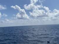 Great day of scuba diving in Key Largo with Rainbow Reef on french reef tropical destiny 2021 10 13 r11725 1