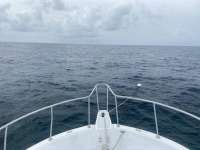 Great day of scuba diving in Key Largo with Rainbow Reef on molasses reef tropical serenity 2021 10 09 r11695 1