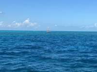 Great day of scuba diving in Key Largo with Rainbow Reef on molasses reef tropical serenity 2021 10 10 r11705 1