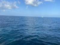 Great day of scuba diving in Key Largo with Rainbow Reef on molasses reef tropical serenity 2021 10 14 r11726 1