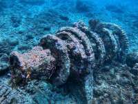 Great day of scuba diving in Key Largo with Rainbow Reef on north star tropical destiny 2021 10 27 r11785 1