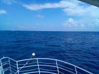 Great day of scuba diving in Key Largo with Rainbow Reef on permit ledges tropical legend 2021 10 14 r11729 1