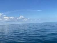 Great day of scuba diving in Key Largo with Rainbow Reef on snapper ledge tropical destiny 2021 10 17 r11742 1