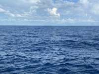 Great day of scuba diving in Key Largo with Rainbow Reef on spiegel grove tropical serenity 2021 10 11 r11709 1