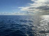 Great day of scuba diving in Key Largo with Rainbow Reef on winch hole tropical serenity 2021 10 16 r11737 1