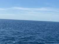 Great day of scuba diving in Key Largo with Rainbow Reef on woodys tropical serenity 2021 10 27 r11788 1