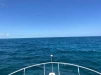 Great day of scuba diving in Key Largo with Rainbow Reef on christ statue tropical destiny 2021 09 28 r11663 1