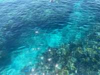Great day of scuba diving in Key Largo with Rainbow Reef on christ statue tropical serenity 2021 09 07 r11591 1
