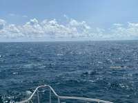 Great day of scuba diving in Key Largo with Rainbow Reef on christ statue tropical serenity 2021 09 16 r11620 1