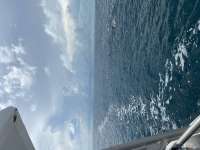 Great day of scuba diving in Key Largo with Rainbow Reef on christmastree cave tropical serenity 2021 09 21 r11645 1